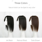 6.3*6.3 Silk Top Human Hair toppers for women toupee half wigs top hair pieces