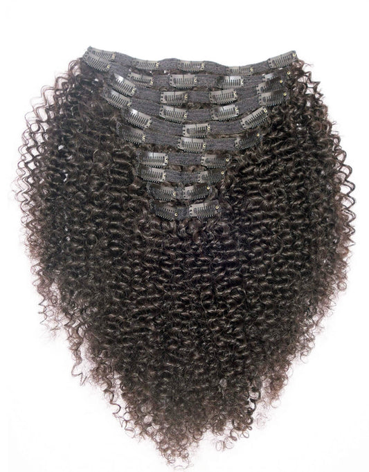 Clip in Hair Extension Kinky Curly Clip-In Set